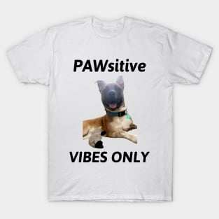 PAWsitive Vibes Only Dog T-Shirt